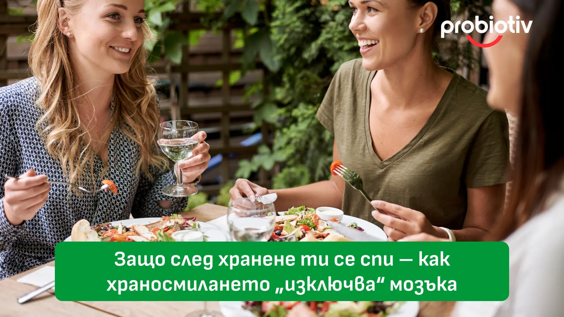 Защо след хранене ти се спи – как храносмилането „изключва“ мозъка