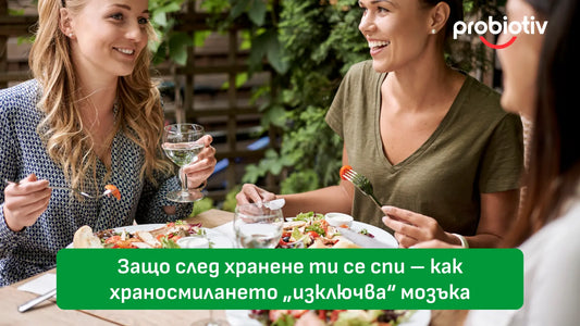 Защо след хранене ти се спи – как храносмилането „изключва“ мозъка