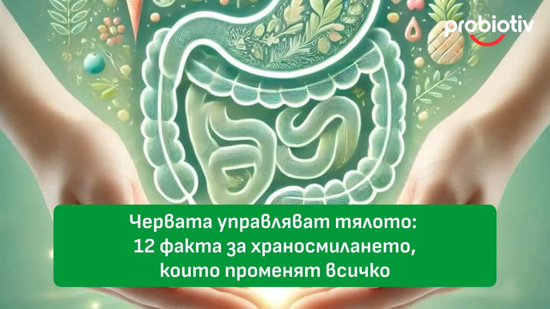 Червата управляват тялото: 12 факта за храносмилането, които променят всичко