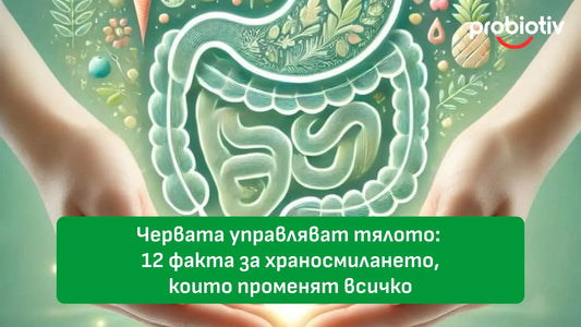 Червата управляват тялото: 12 факта за храносмилането, които променят всичко