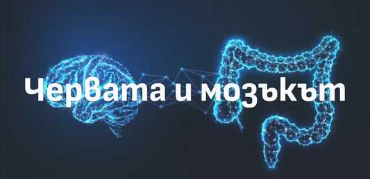 Червата и мозъкът 🧠
