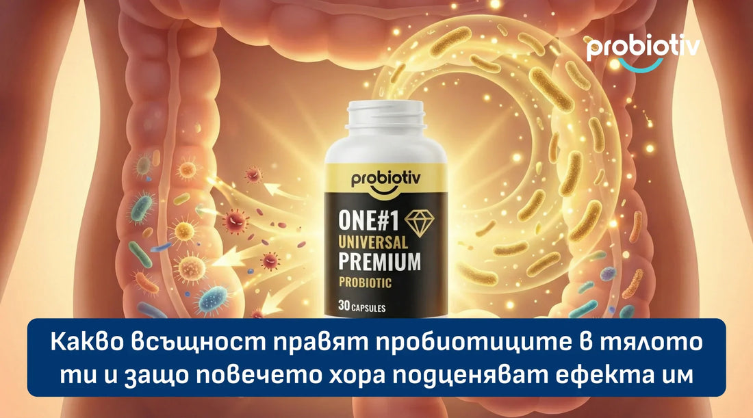 Какво всъщност правят пробиотиците в тялото ти и защо повечето хора подценяват ефекта им