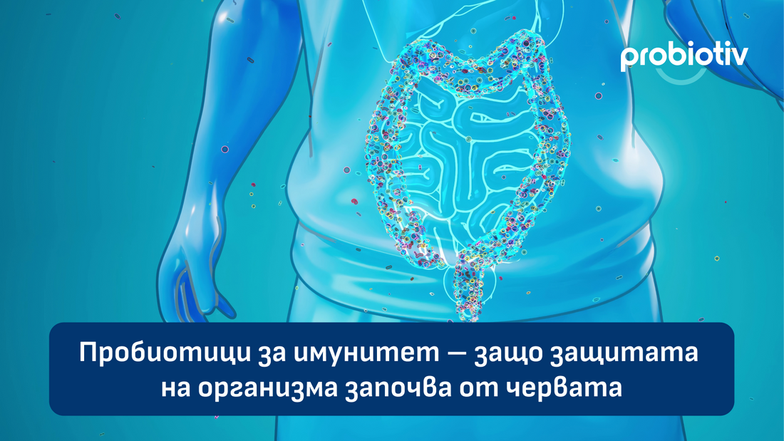 Пробиотици за имунитет – защо защитата на организма започва от червата