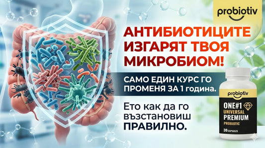 Възстановяване на микробиома: Защо пробиотикът след антибиотик вече не е избор, а задължение?